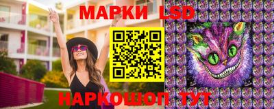 прущие крисы Партизанск