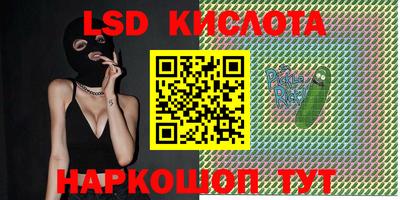 прущие крисы Партизанск