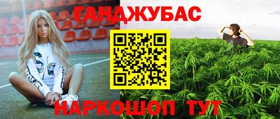 индика Обнинск