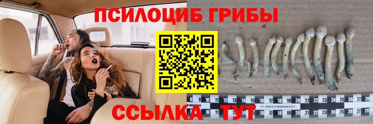 Советская Гавань  Псилоцибиновые грибы MAGIC MUSHROOMS  Вход с VPN  Галлюциногенные грибы прущие грибы 